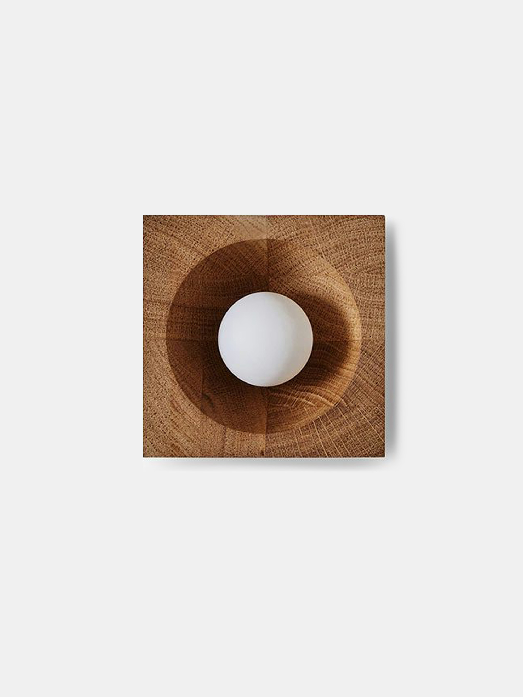 59842 Da76ecdc78 Well Oak Portrait