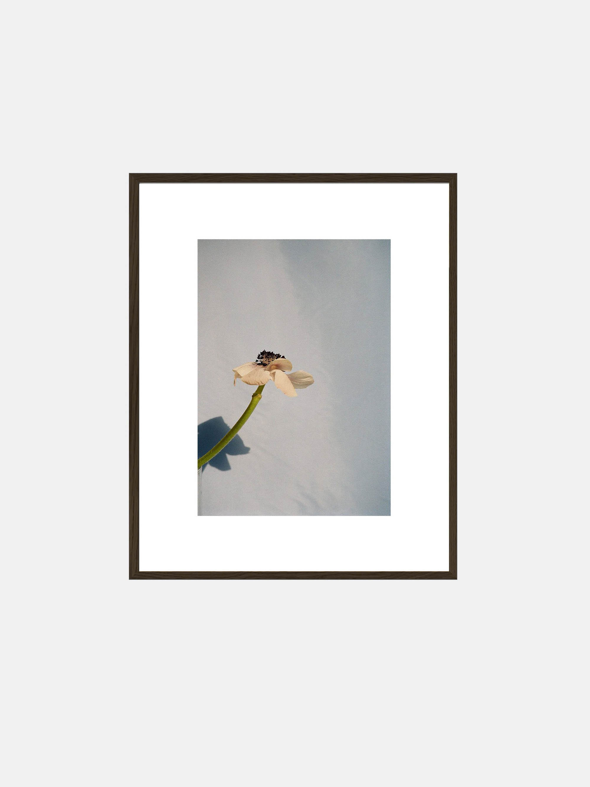 59856 5c666959ce 57679 Blackframe Portrait