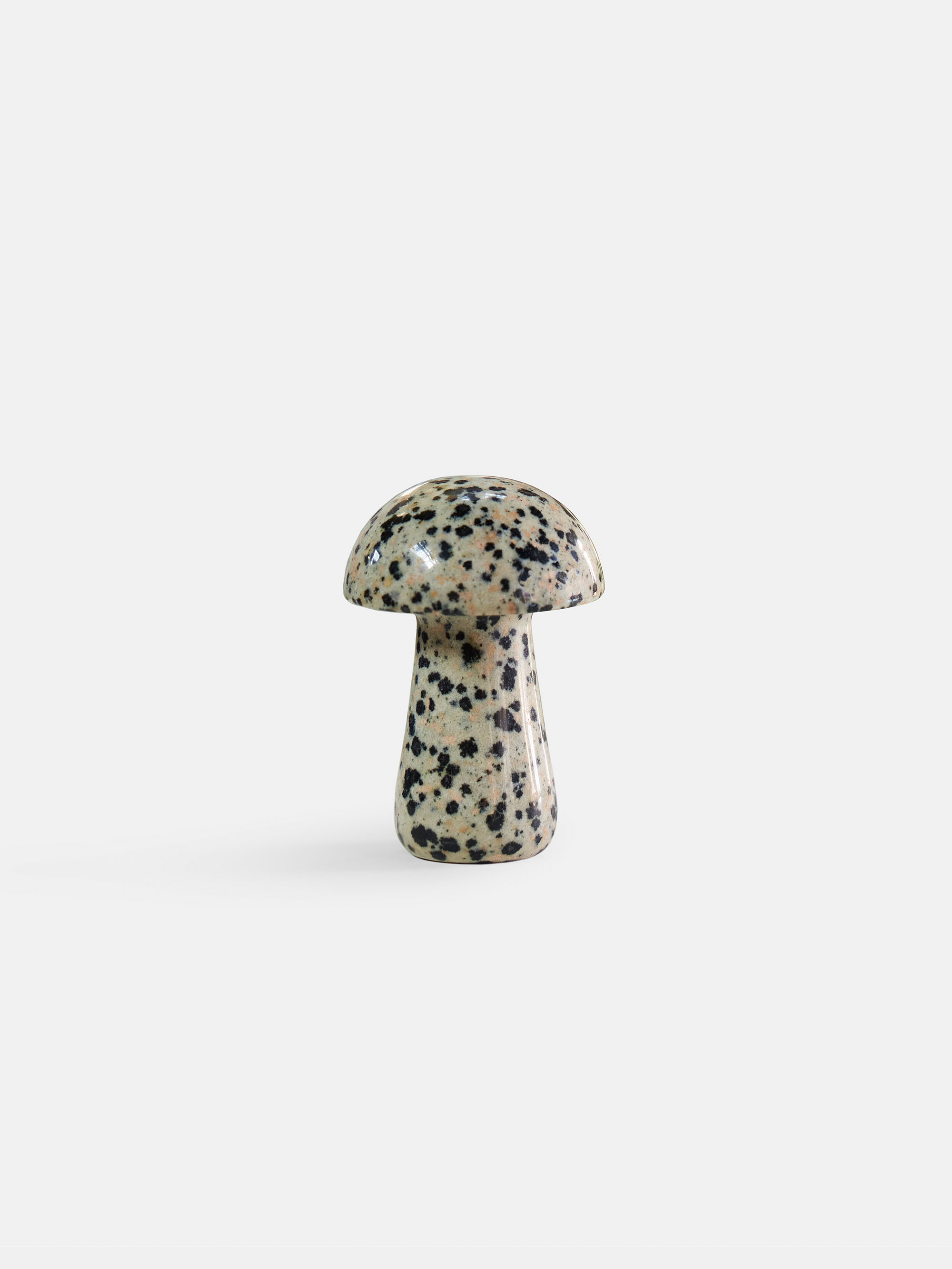 61096 8bbea61d6a Gua Shroom L Dalmatian 1 Portrait