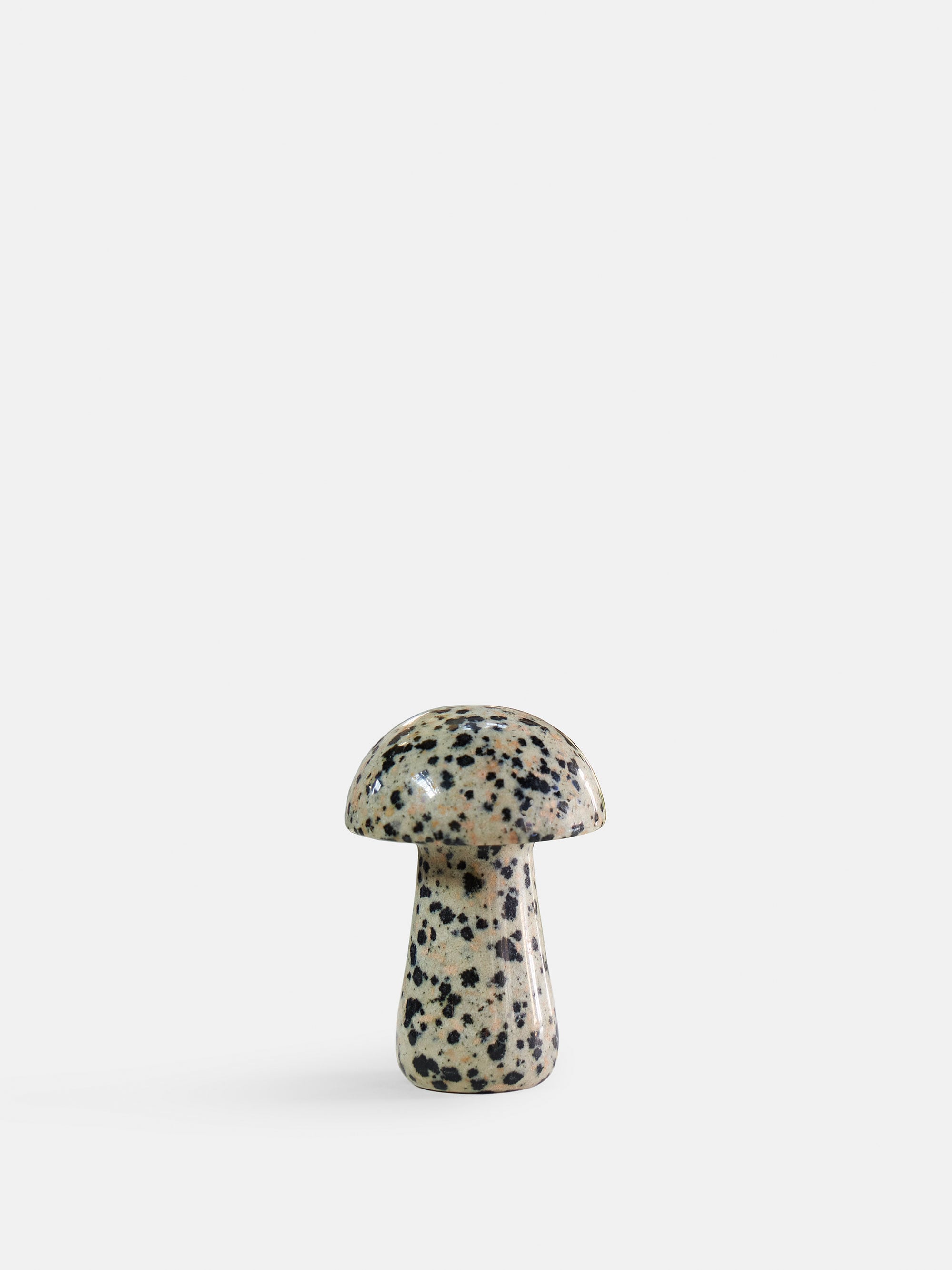 61096 922ab01159 Gua Shroom L Dalmatian Shift Portrait