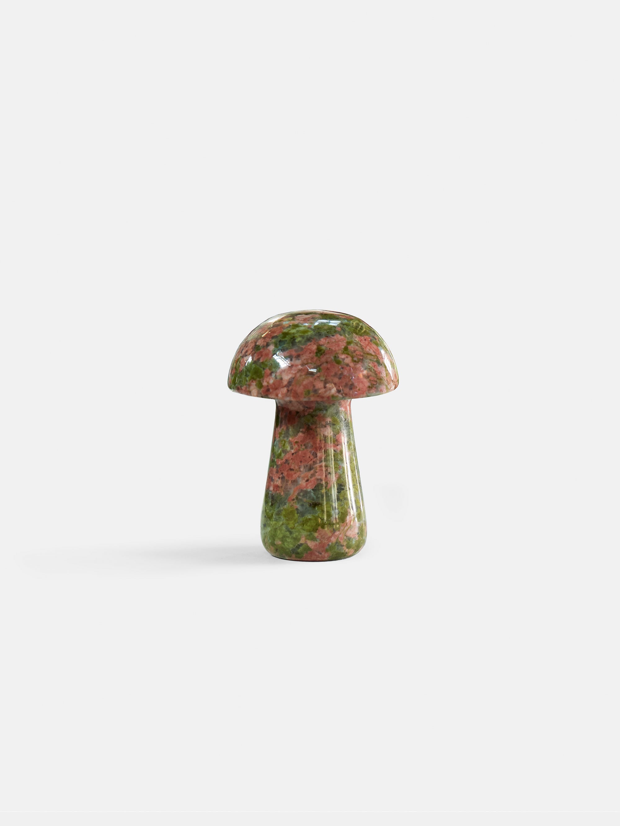 61097 59c06d7c5a Gua Shroom L Unakite 1 Portrait