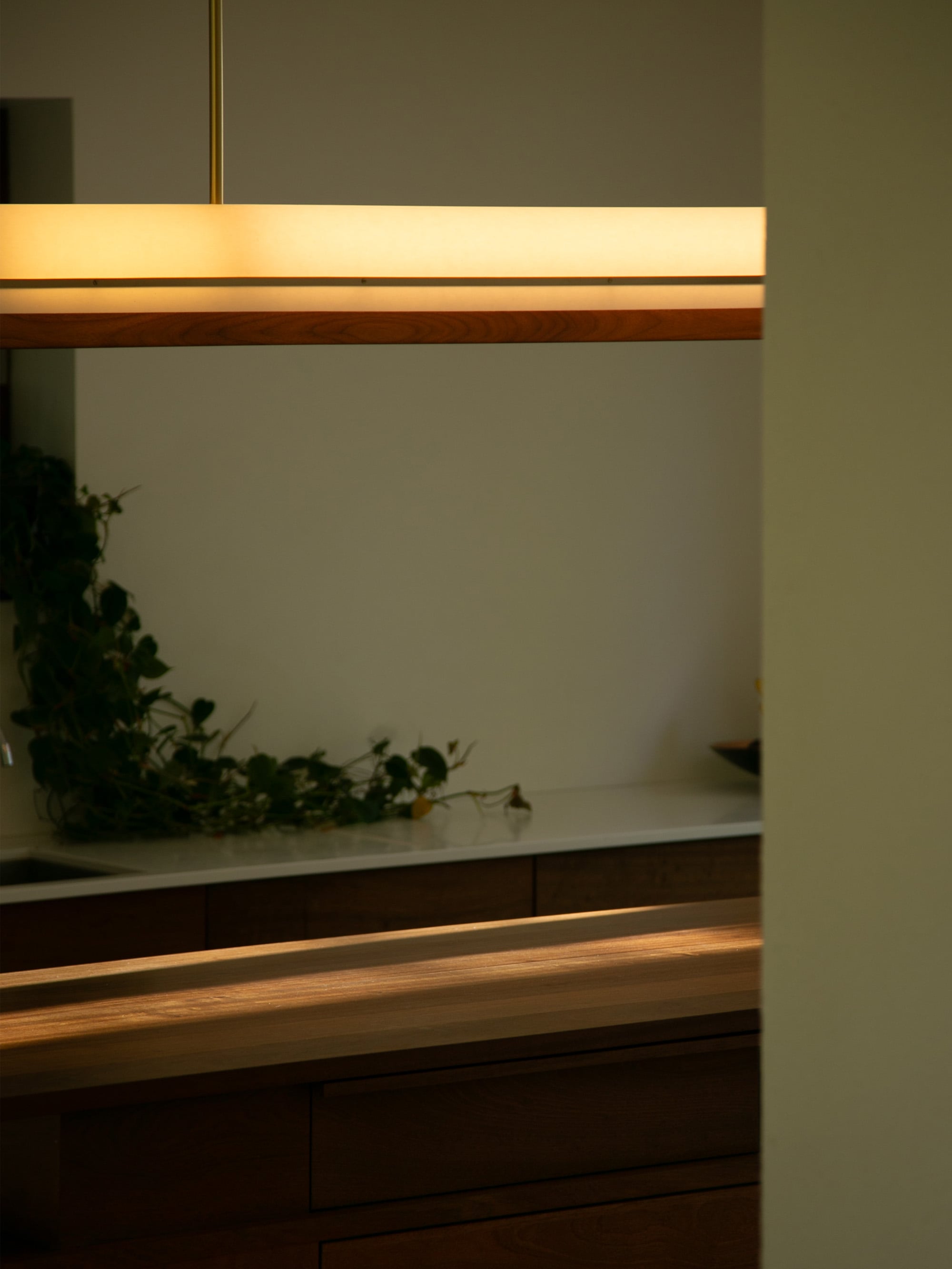 61173 07c9b299e6 Modernist Linear Suspension Lamp 2 Portrait