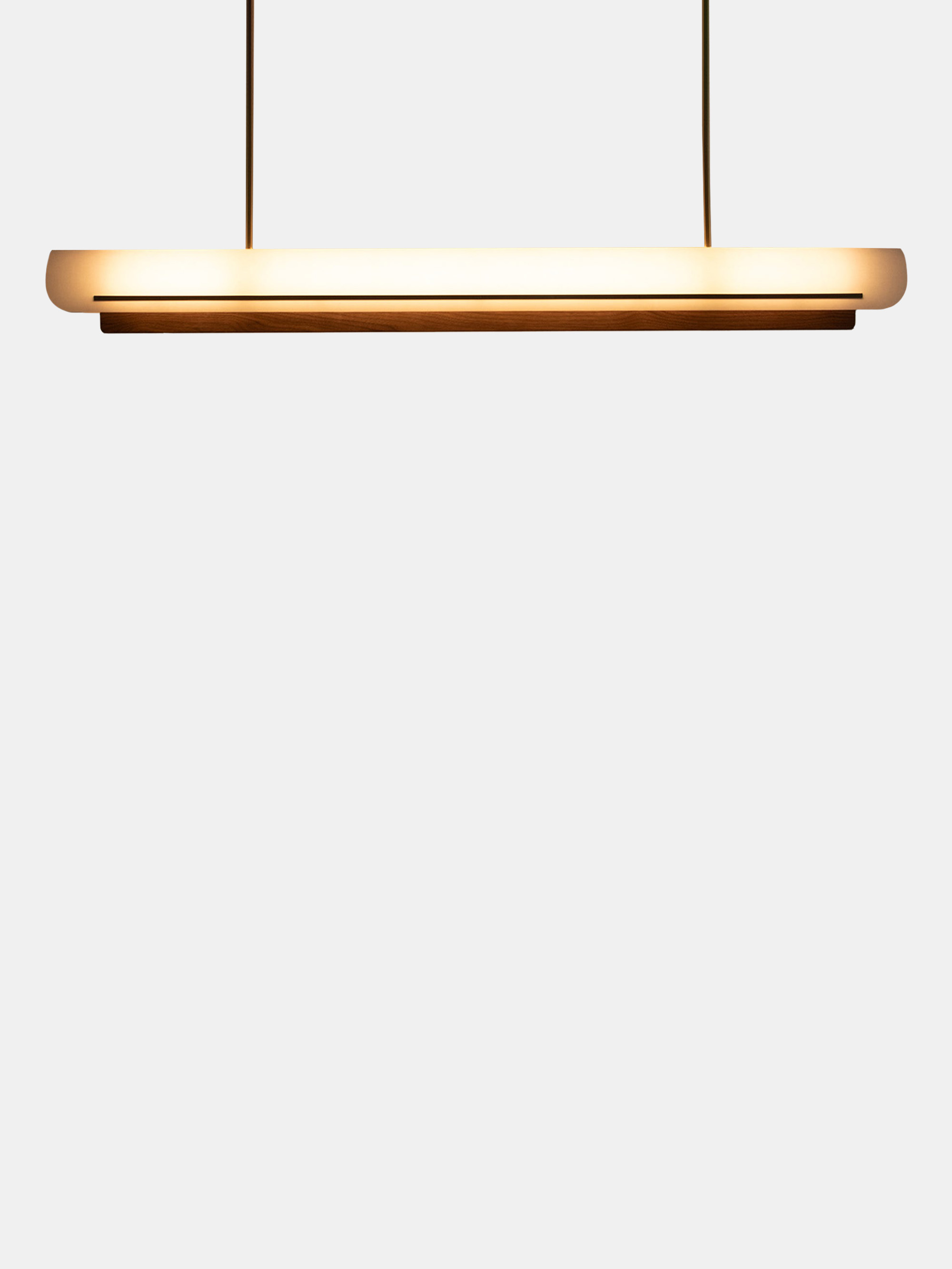 61173 3ca988bdfc Modernist Linear Suspension Lamp Portrait