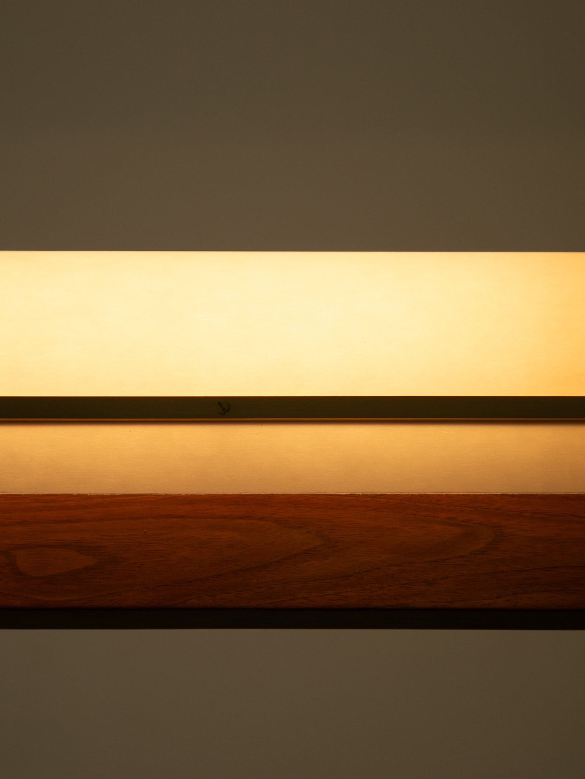 61173 6ad2e99bfa Modernist Linear Suspension Lamp 1 Portrait