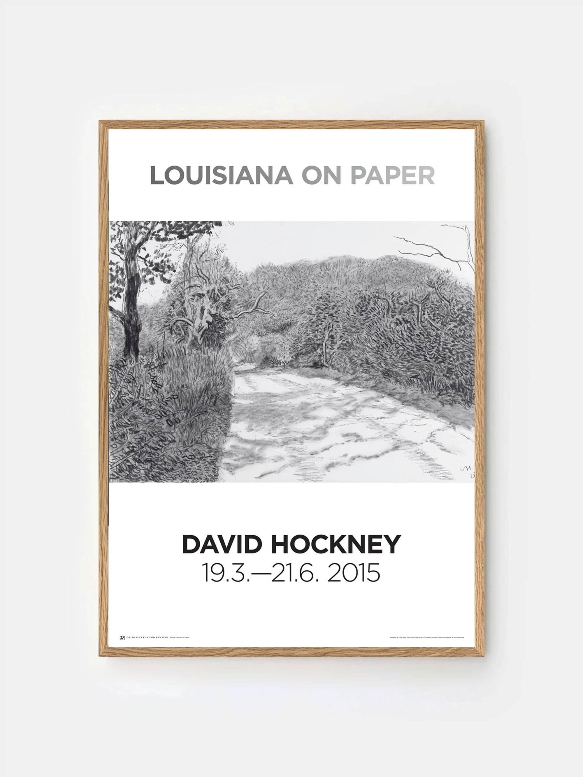61635 F45c16c2f9 58023 D28b439a22 Davidhockney Worldgate Oak Original Portrait