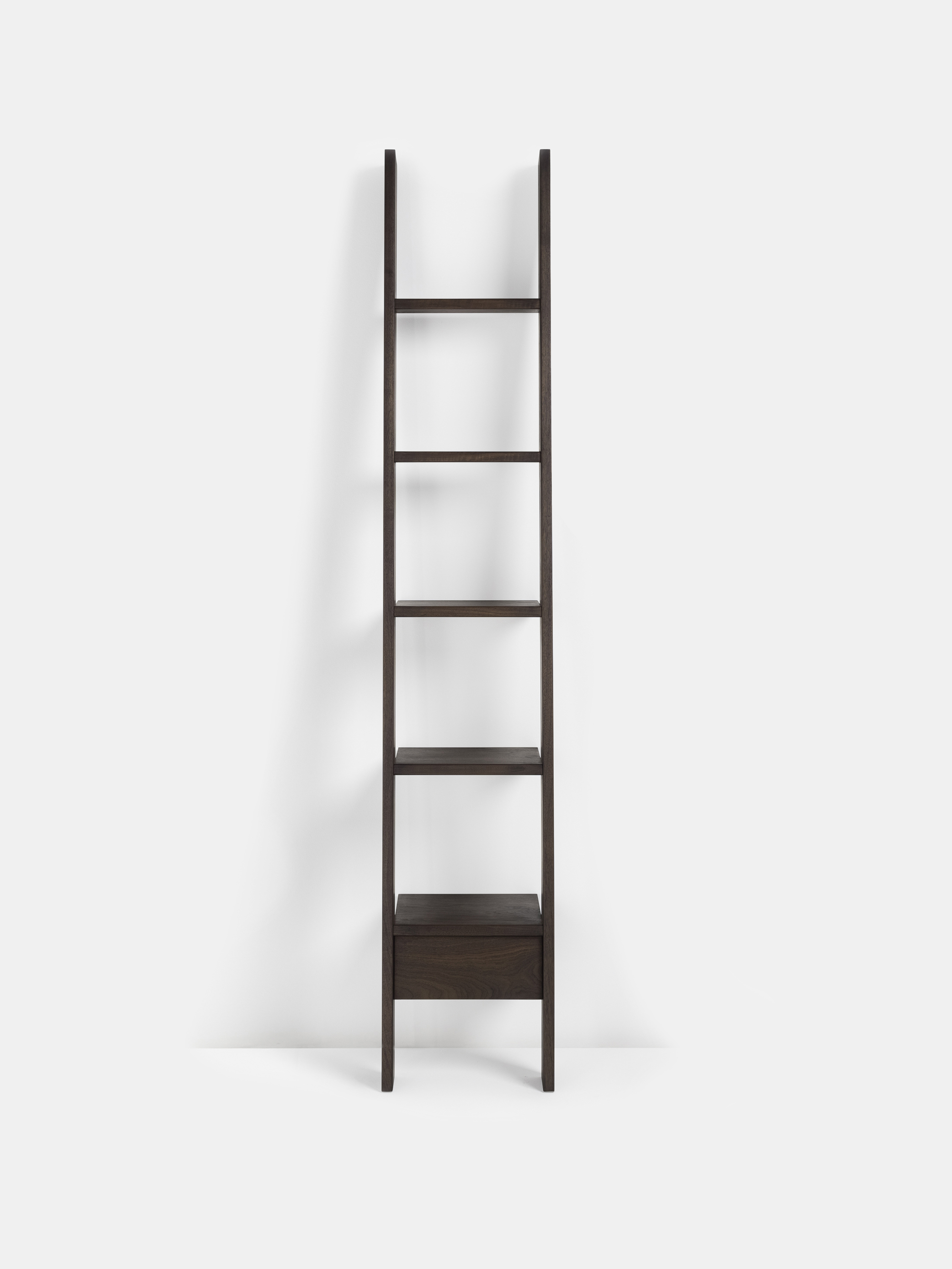 61648 746c69d4cb Ladder Bookcase De La Espada Portrait