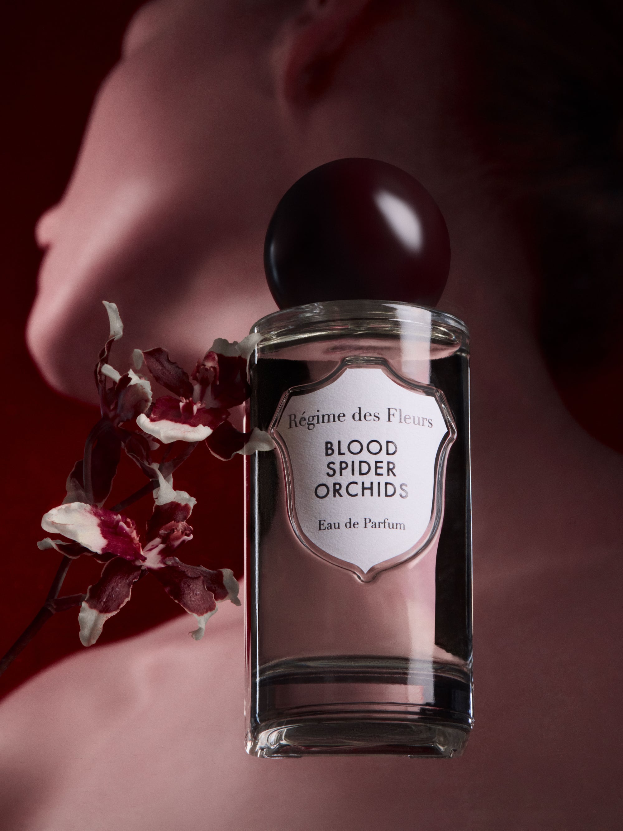 61831 518b3d4597 Bloodspiderorchids Product13522 Ret Portrait