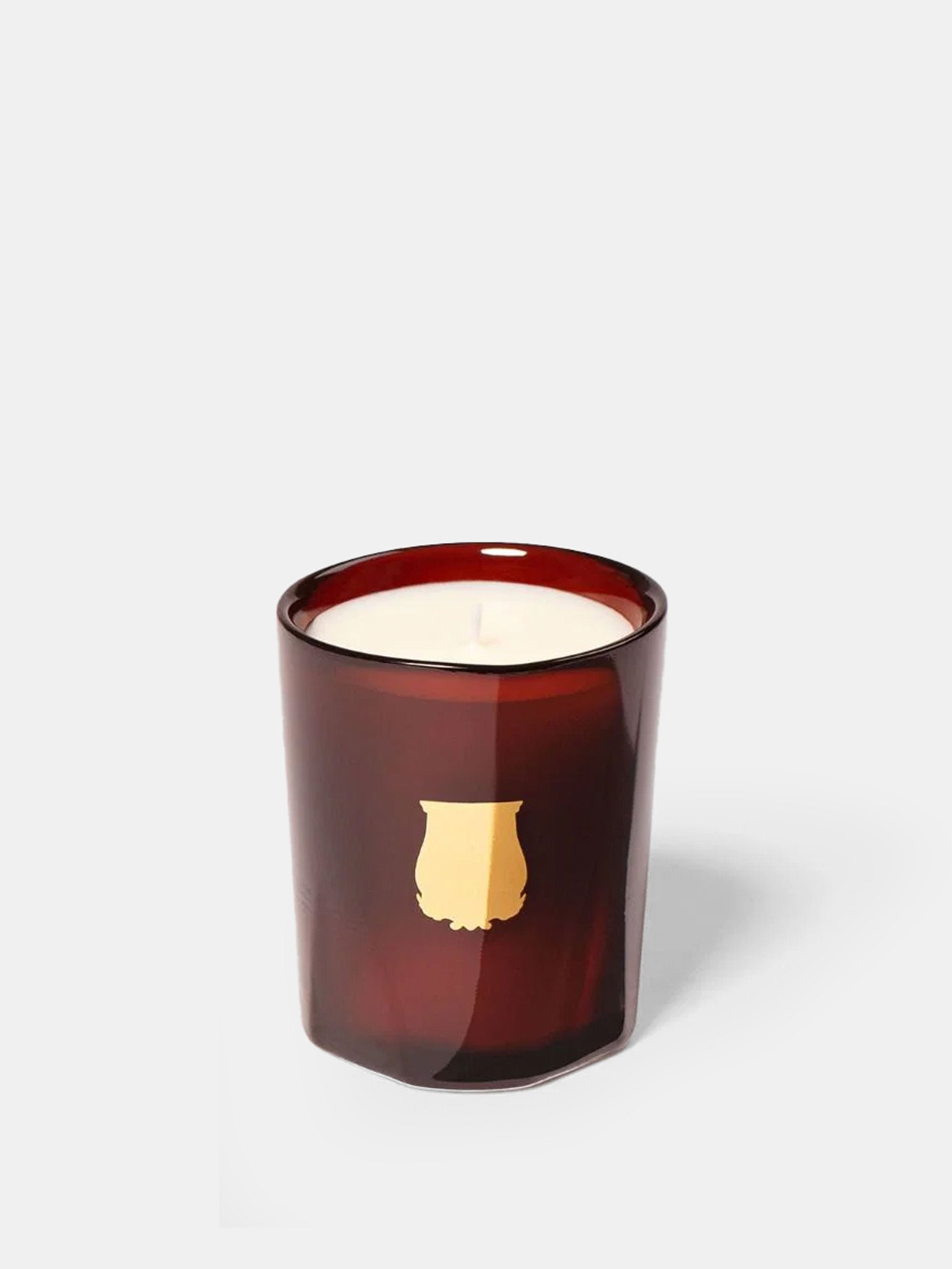 62195 56f4b56c79 Trudon Cire Portrait