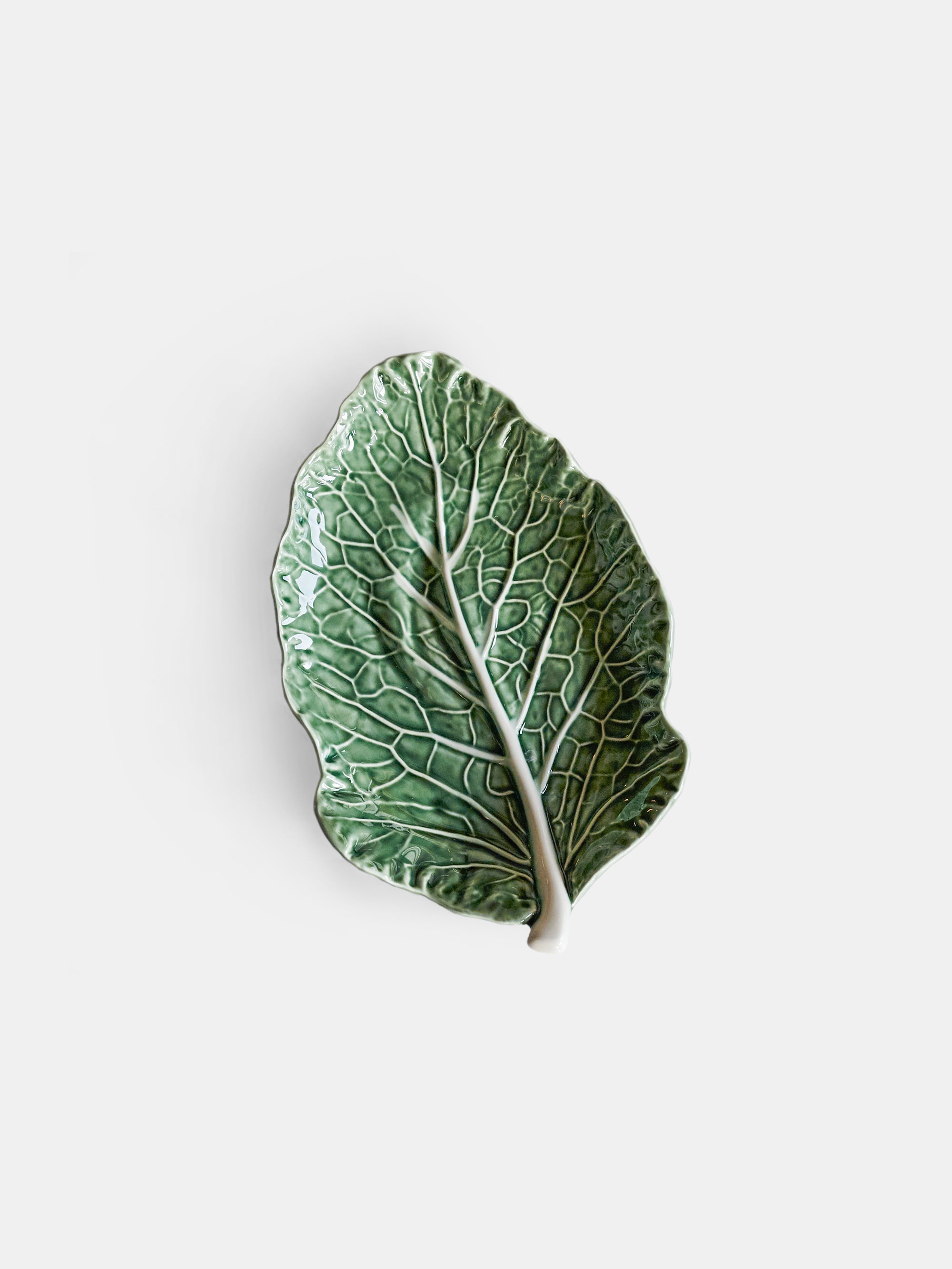 6521 7d1e12f06d 1 6521 97a73789eb 65000590 Cabbage Leaf Zoom Portrait
