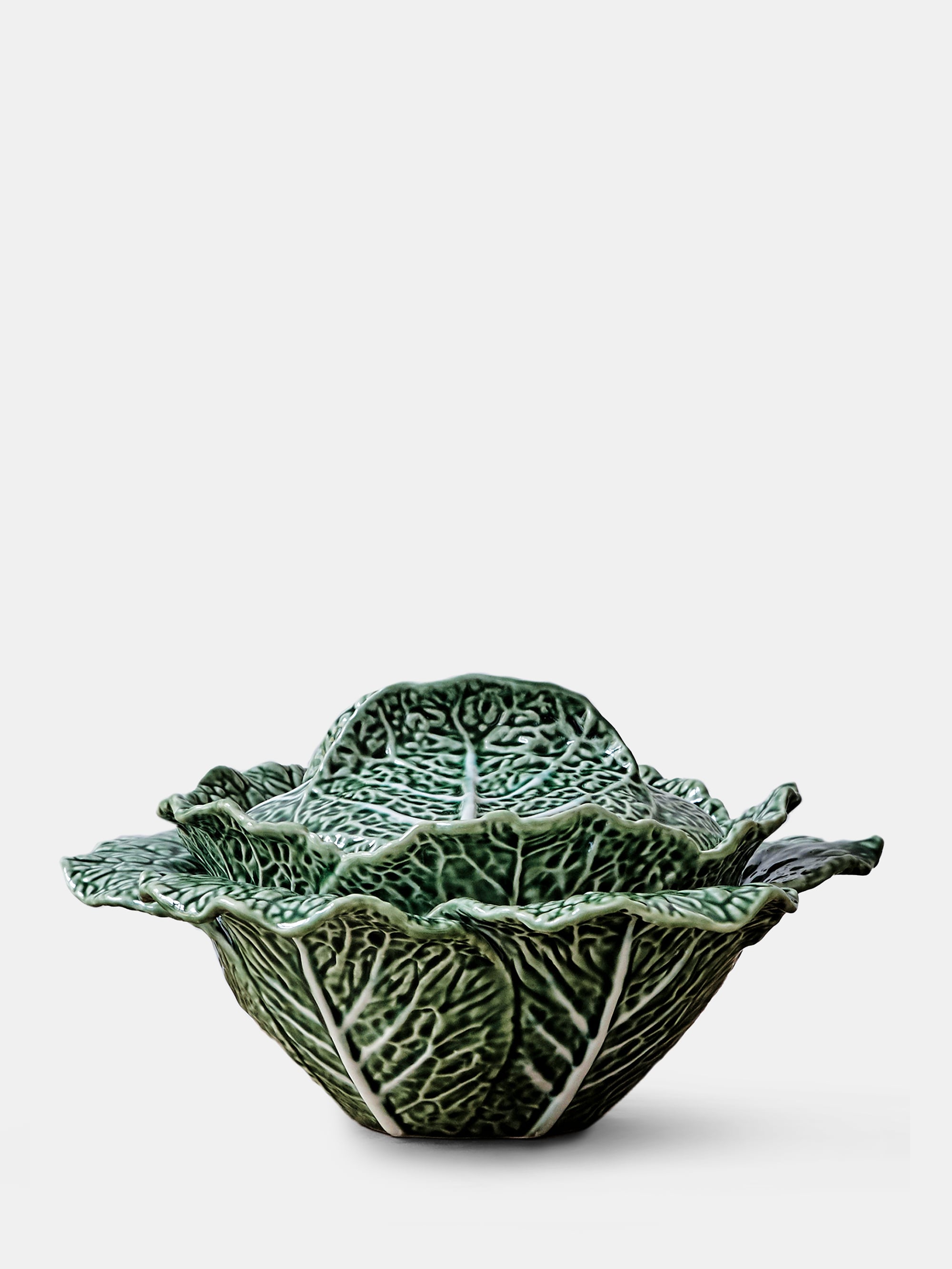 6522 C7e97e4eed 1 6522 A8fc187bd2 Lbp011347 5 Cabbage Leaf Plate Zoom Portrait