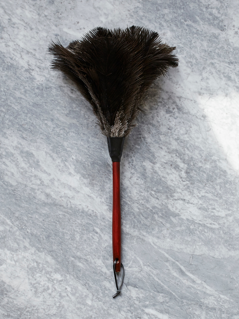 Feather Duster Beechwood - 50 cm