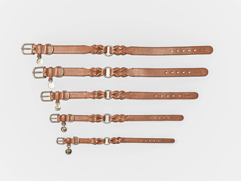 Collar Hyde Park - Cognac