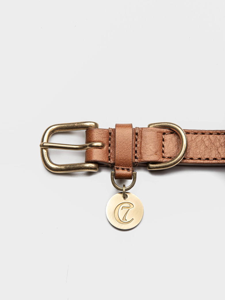 Collar Hyde Park - Cognac