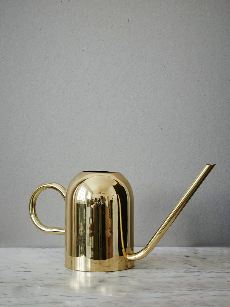 Vivero Watering Can